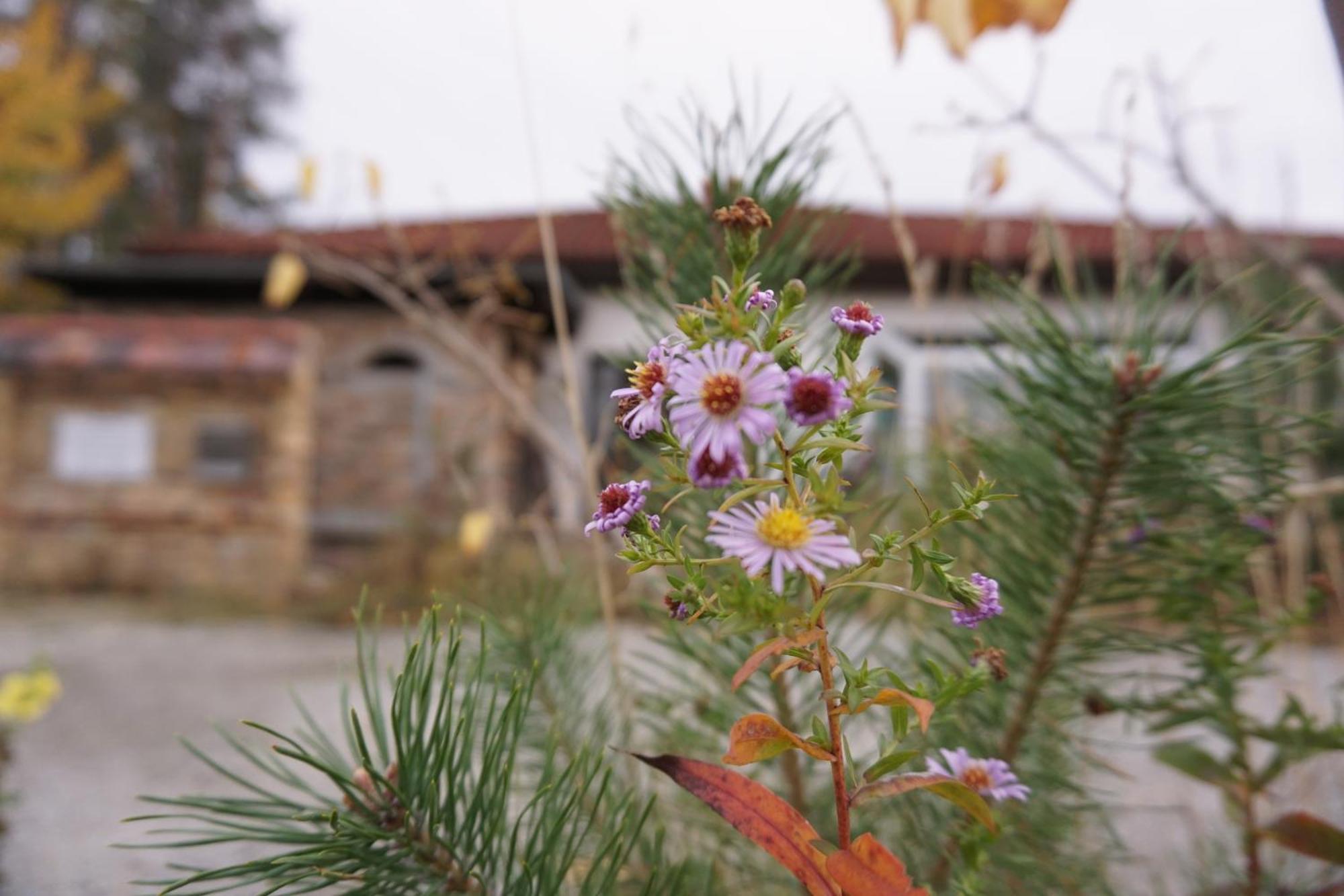 Ferienwohnung Gnubbel Am Wald Weisswasser Εξωτερικό φωτογραφία